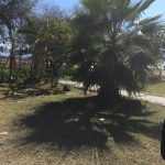 Villa-Corona-limpieza-4