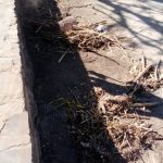Villa-Corona-brigada-limpieza-9