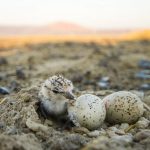 307569045_3327214630828280_4346806374430539575_n