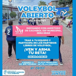 voley