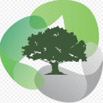 favicon-2