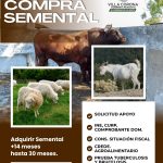 558313700_1208509174636693_7542137350780447458_n